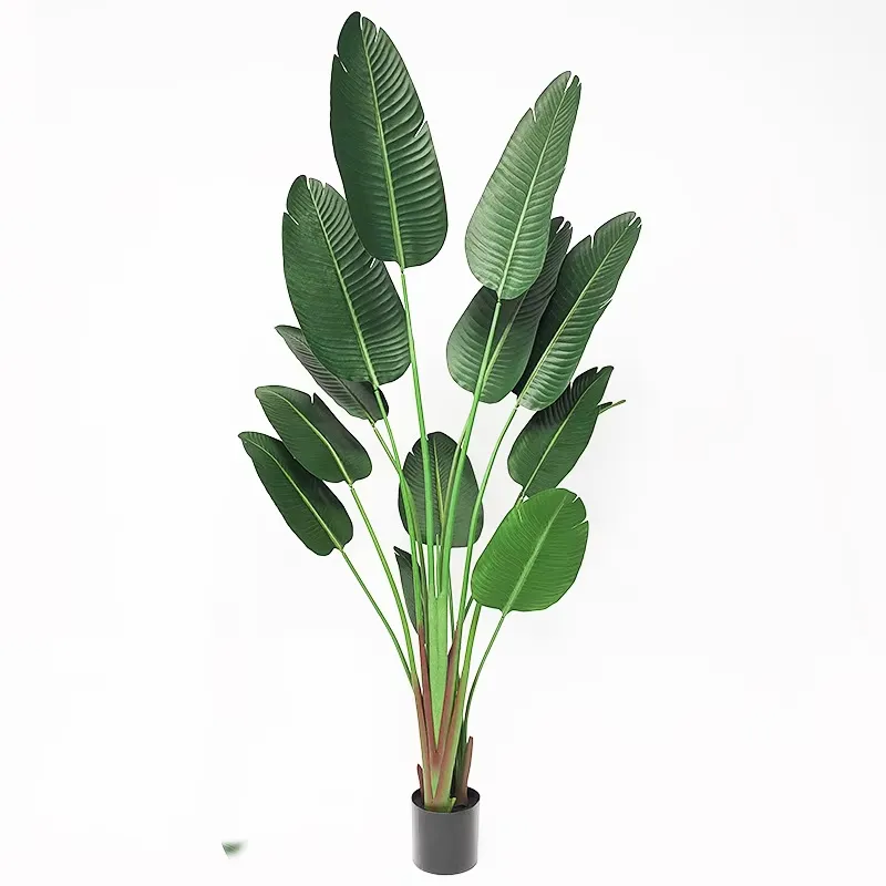 Bird Paradise Strelitzia - 유50 장식용 인조 녹색 식물 180cm