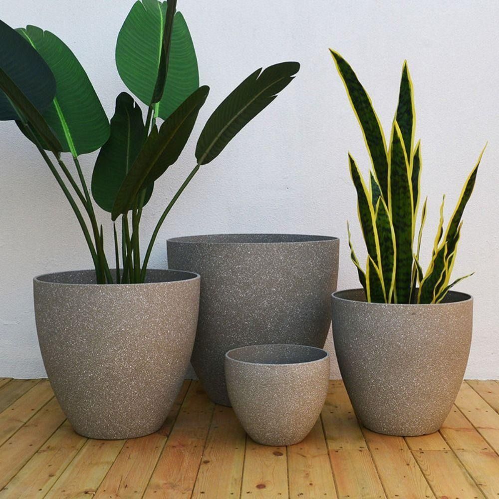 Aloe Vera Pot - 서리로 덥은 모조 돌 분재 화분