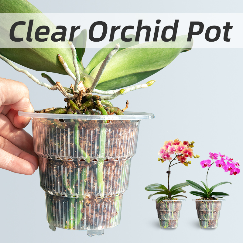 Aloe Vera Pot - 구멍과 접시가 있는 투명 플라스틱 난초