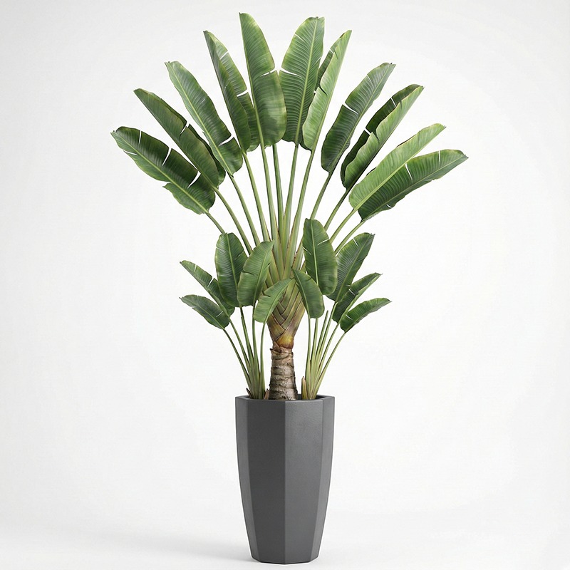 Ficus Lyrata Tree - 고도로 시뮬레이션된 플라스틱 피들리프 무화과 인조