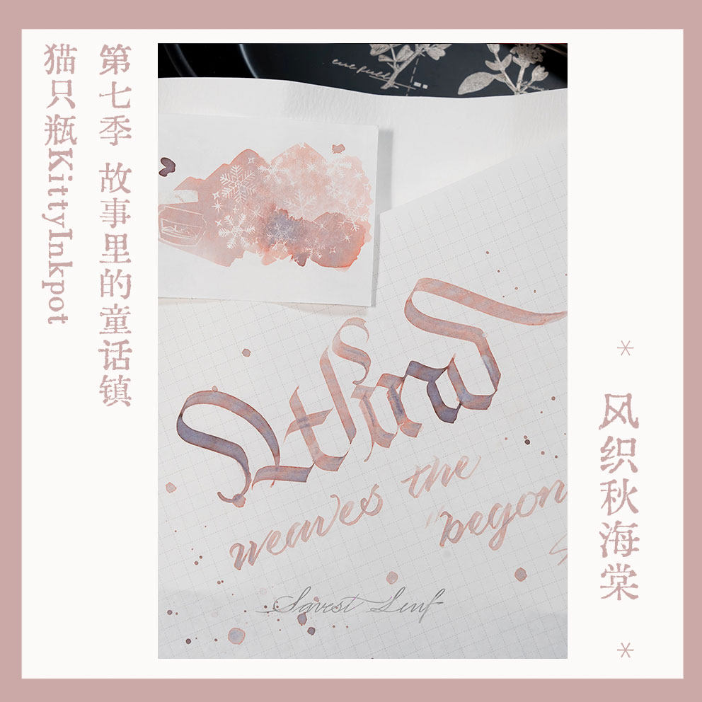 Begonia Rex - KittyInkpot 베고니아 렉스 컬러 5/35ml 쉰