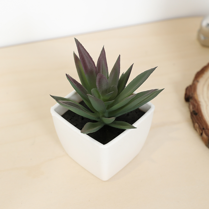Echeveria Succulent - 미니 인공 즙이 많은 요정 컵