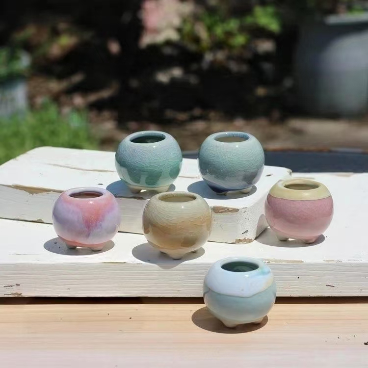 Echeveria Succulent - 6Pcs 미니 화분 다육 식물 작은