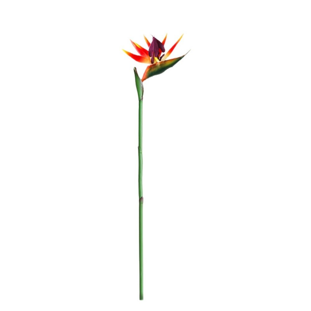 새로운 롱 스템 인조 버드 오브 파라다이스 장식용 DI - Bird Paradise Strelitzia 리뷰 및 가격
