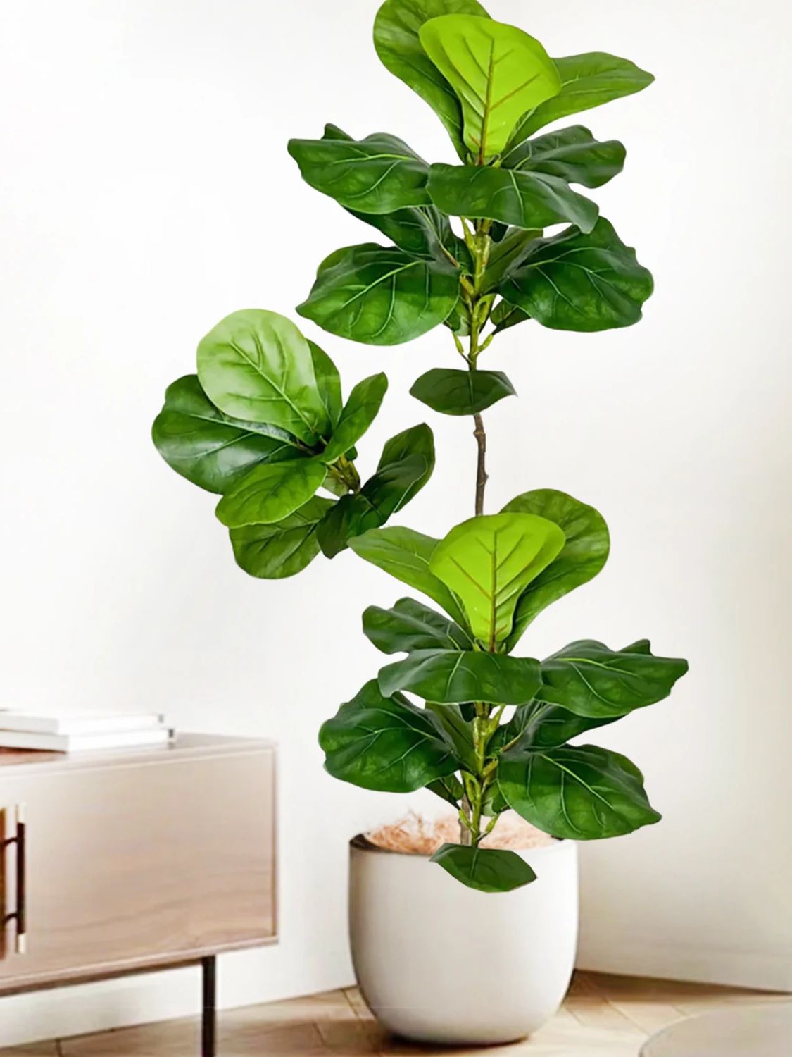 45-135cm 인조 피클리프 무화과나무 인조 피쿠스  - Ficus Lyrata Tree 리뷰 및 가격