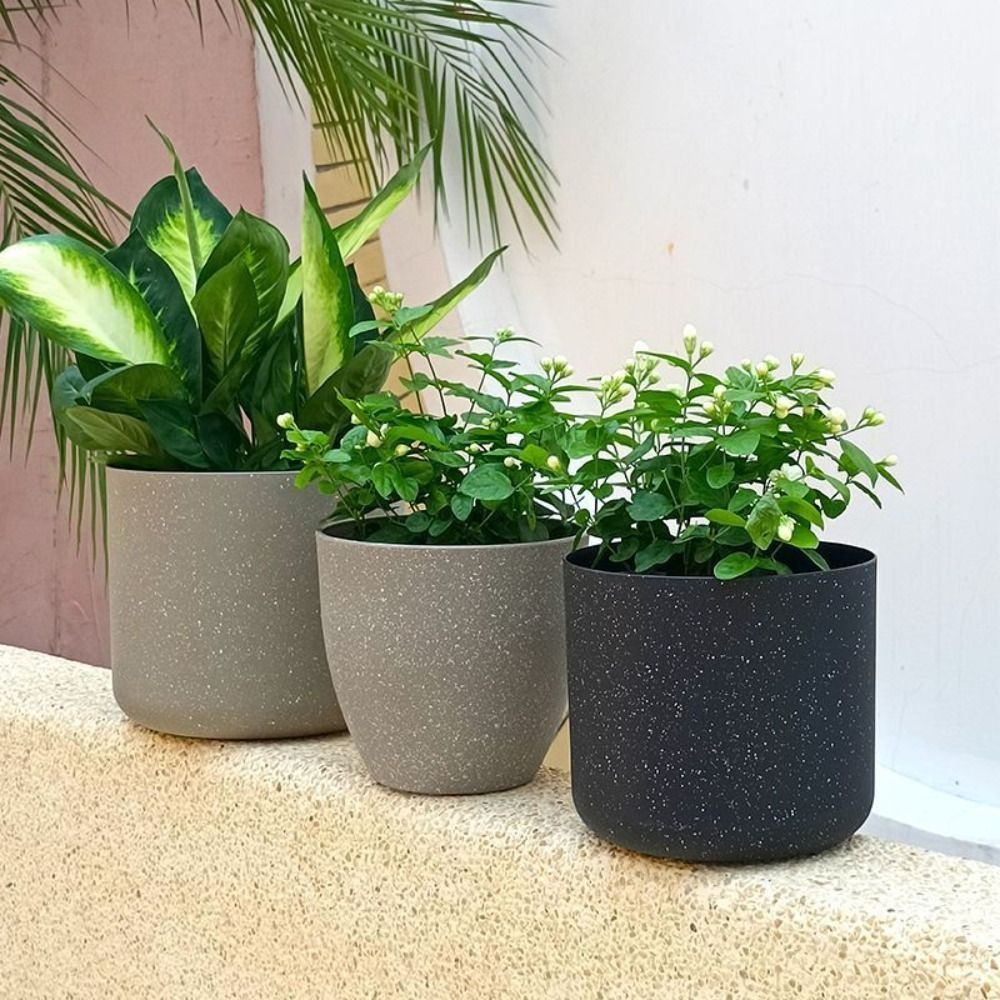 서리로 덥은 모조 돌 꽃 냄비 원예 꽃 녹색 식물 냄비 - Aloe Vera Pot 리뷰 및 가격