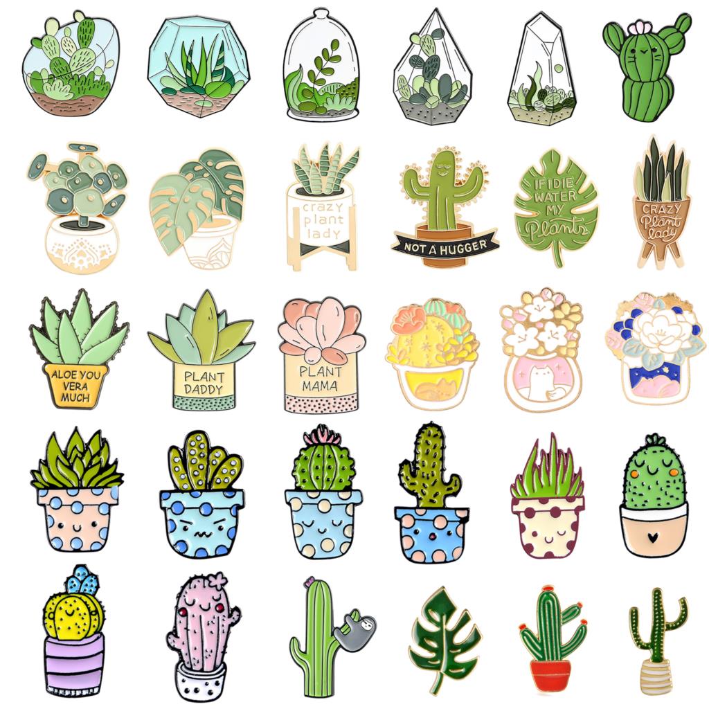 화분에 심은 식물 브로치 Monstera 알로에 베라  - Aloe Vera Pot 리뷰 및 가격