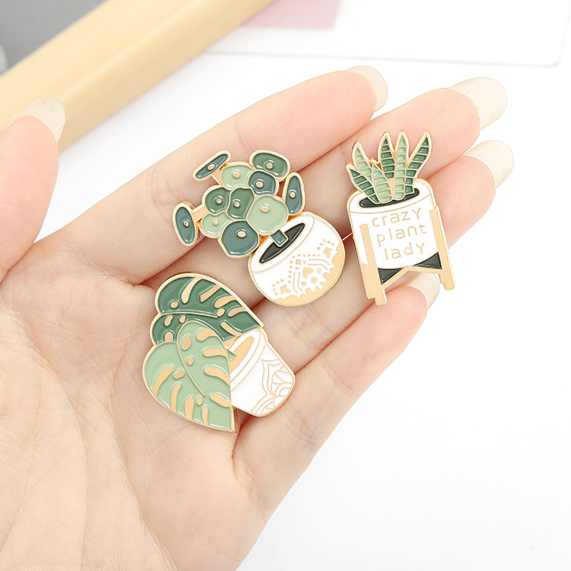 화분에 심은 식물 브로치 Monstera 알로에 베라  - Aloe Vera Pot 리뷰 및 가격