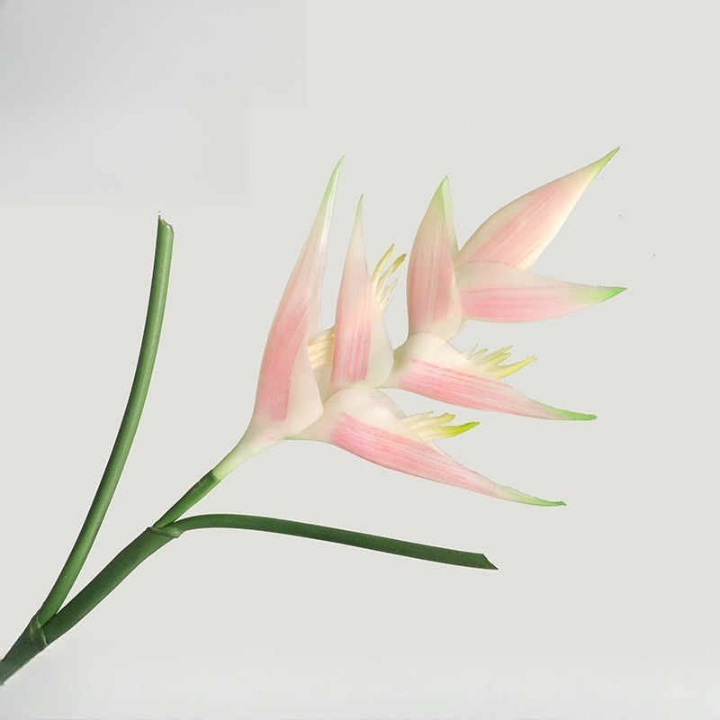 1PCS 85cm 인공 스트렐리치아 레지네 천국의 새  - Bird Paradise Strelitzia 리뷰 및 가격