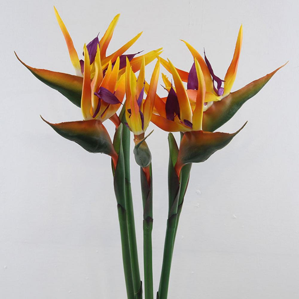1pc 80cm 꽃 천국의 새 인공 꽃 가짜 식물 St - Bird Paradise Strelitzia 리뷰 및 가격
