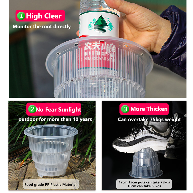 구멍과 접시가 있는 투명 플라스틱 난초 화분, 작은 난 - Aloe Vera Pot 리뷰 및 가격