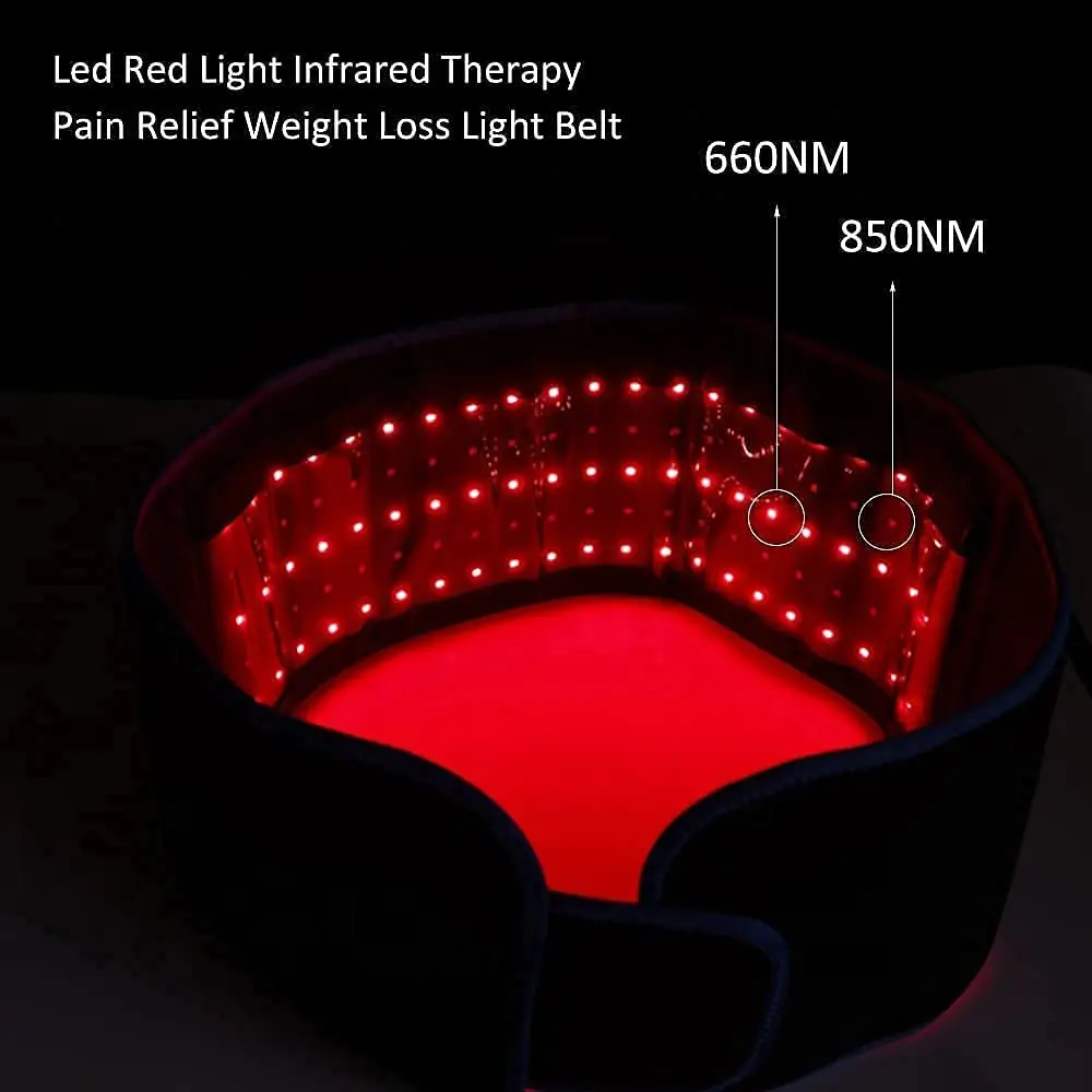적외선 및 적색광 치료 벨트 850nm 660nm LE - Aglaonema Red 리뷰 및 가격