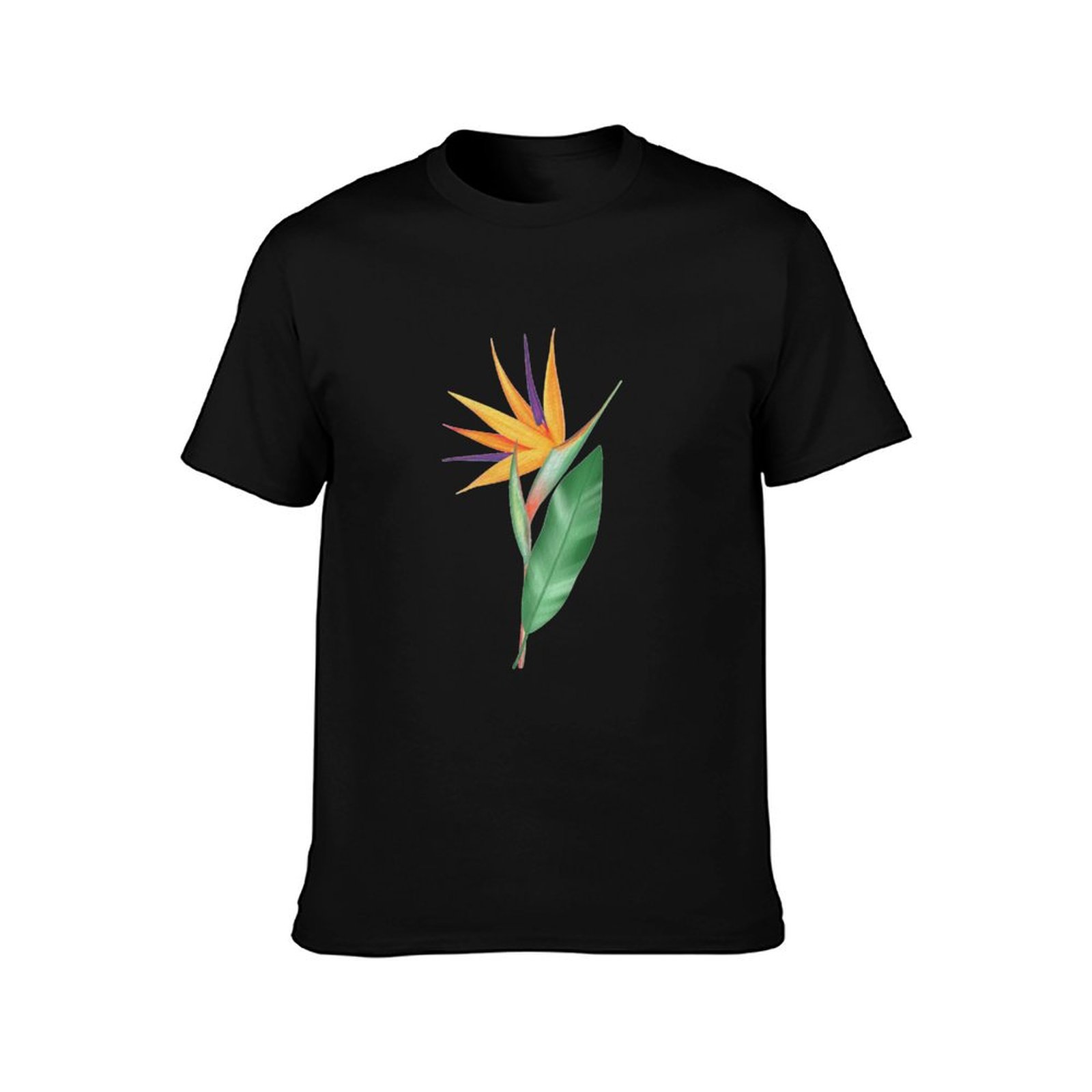 수채화 낙원의 새꽃 또는 스트렐리치아 레지네이 티셔츠  - Bird Paradise Strelitzia 리뷰 및 가격