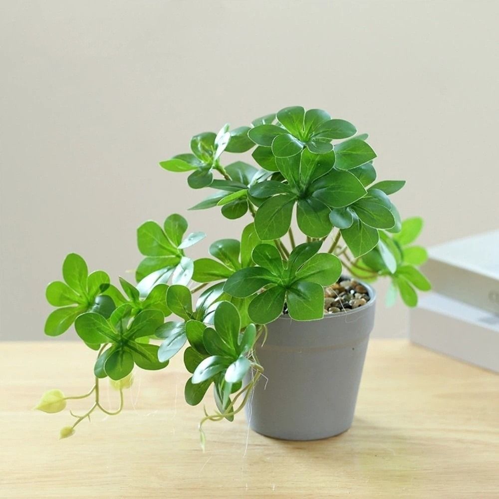 분재 인조분재 식물 인조 거미 식물 화분 포함 가짜 화 - Spider Plant Hanging 리뷰 및 가격