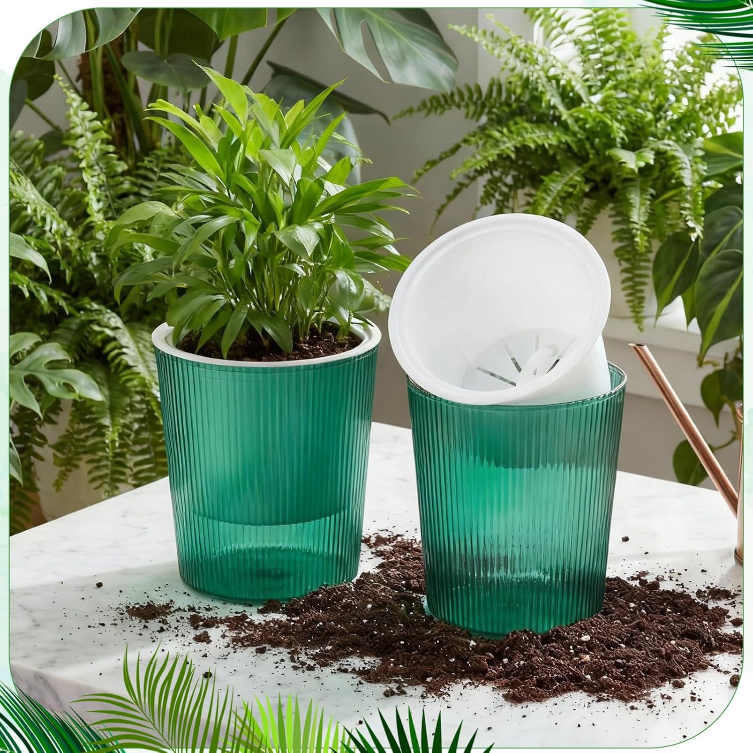 투명 자동 급수 화분, 가정용 부패 방지 자동 급수 화 - Aloe Vera Pot 리뷰 및 가격
