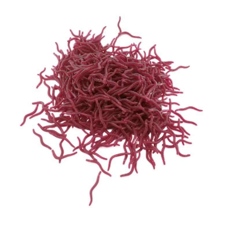 100PCS 소프트 루어베이스 도미 Bloodworm  - Aglaonema Red 리뷰 및 가격