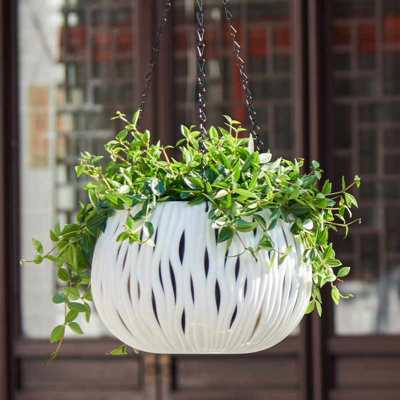 걸이형 화분, 플라스틱 맞춤형 모양, 라탄으로 짠 걸이 - Spider Plant Hanging 리뷰 및 가격