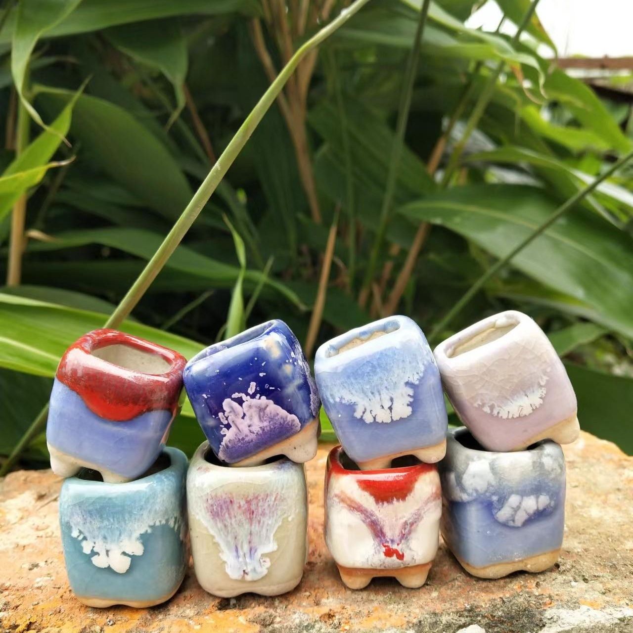 미니 도자기 화분, 선인장 다육 식물, 엄지 화분, 가 - Echeveria Succulent 리뷰 및 가격