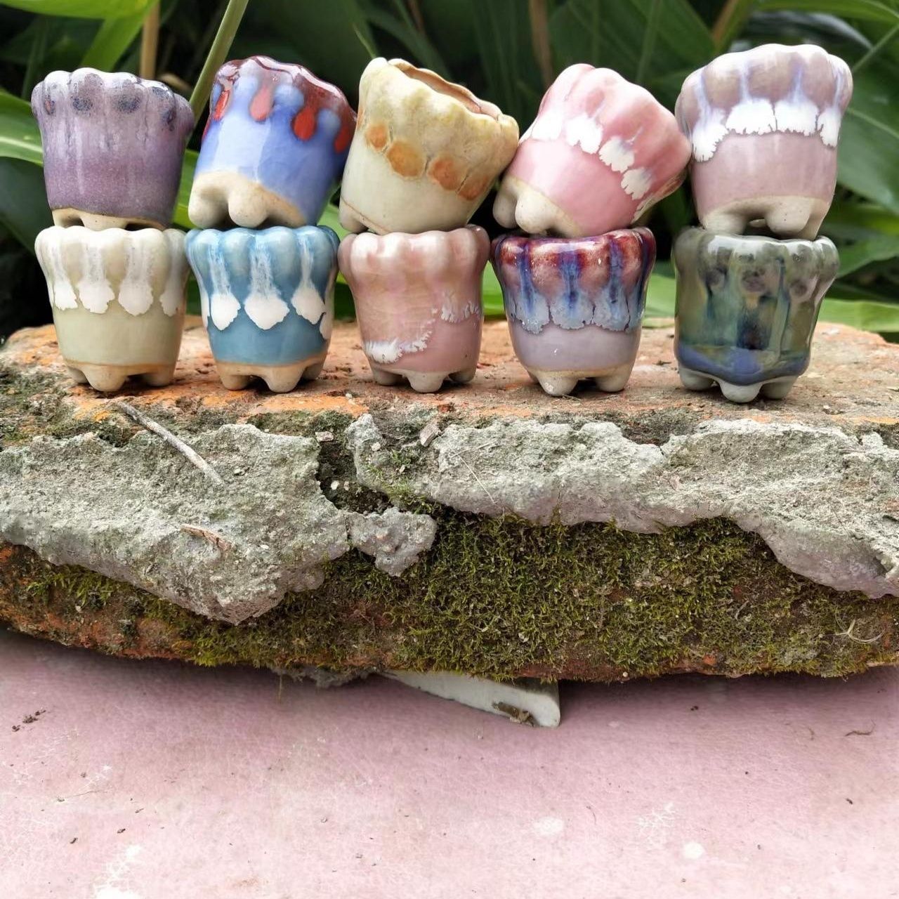 미니 도자기 화분, 선인장 다육 식물, 엄지 화분, 가 - Echeveria Succulent 리뷰 및 가격