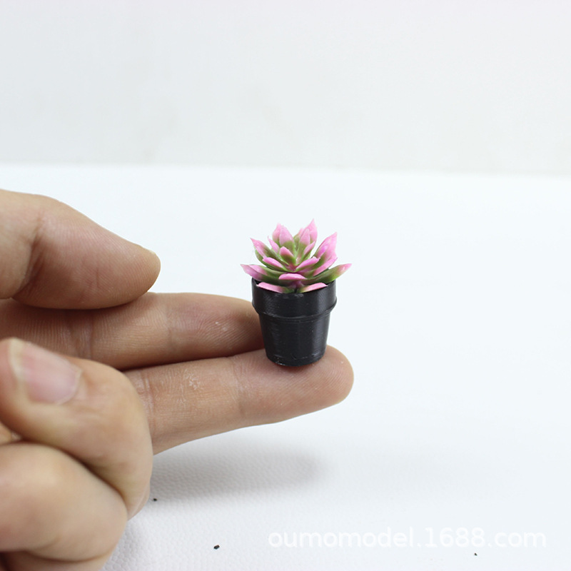 미니 시뮬레이션 식물 선인장 다육 꽃 모델 데스크탑 인 - Echeveria Succulent 리뷰 및 가격