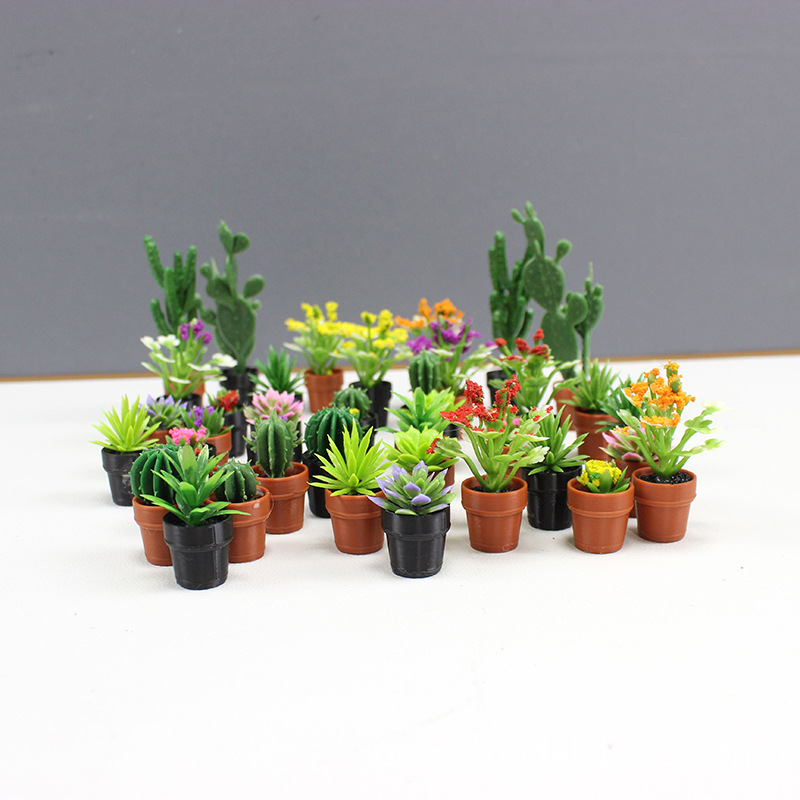 미니 시뮬레이션 식물 선인장 다육 꽃 모델 데스크탑 인 - Echeveria Succulent 리뷰 및 가격