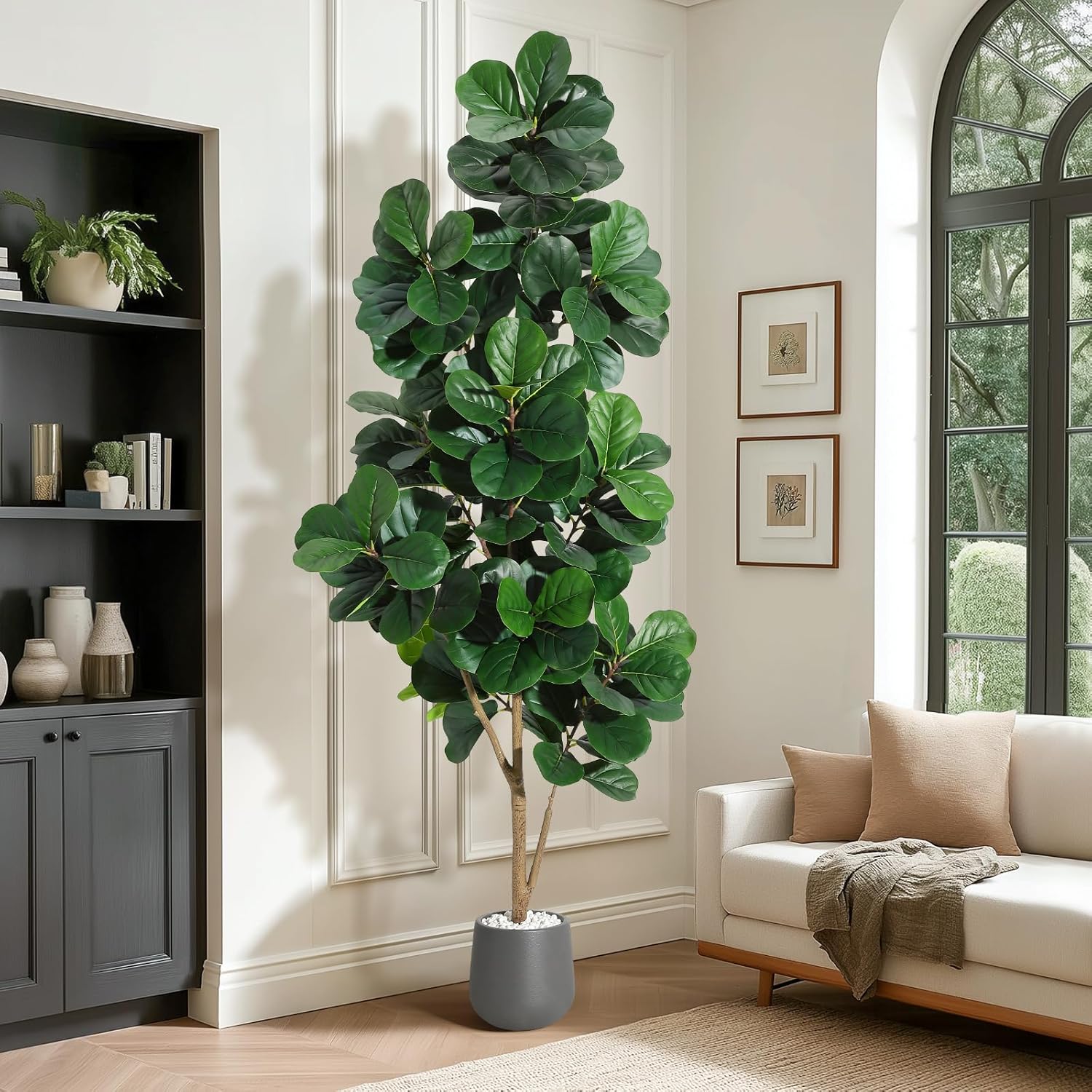 4피트/5피트/6피트/7피트 바이올린 잎 무화과 나무  - Ficus Lyrata Tree 리뷰 및 가격
