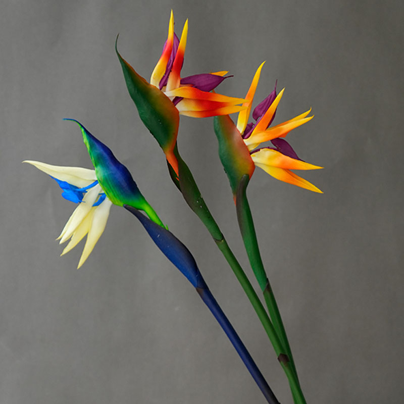 1PC 인공 천국의 새 꽃, 가짜 천국의 새(Strel - Bird Paradise Strelitzia 리뷰 및 가격