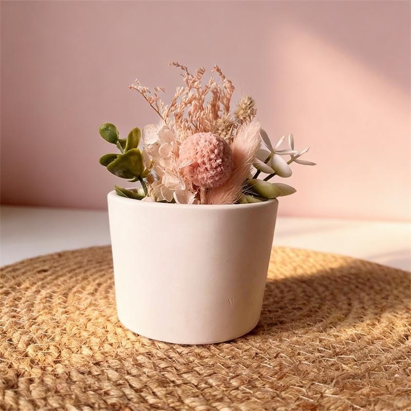 둥근 석고 화병 화분 시멘트 다육 식물 화분 실리콘 몰 - Echeveria Succulent 리뷰 및 가격