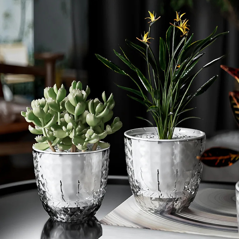 3pcs 투명 이중층 자체 급수 냄비 - 다육 식물,  - Aloe Vera Pot 리뷰 및 가격