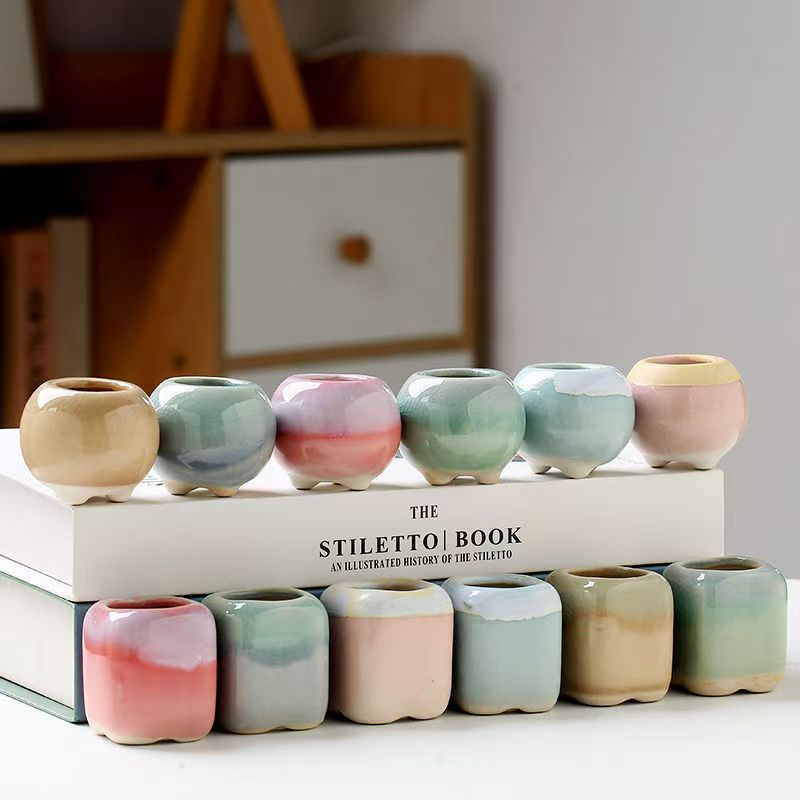 6Pcs 미니 화분 다육 식물 작은 다육 식물 도자기  - Echeveria Succulent 리뷰 및 가격