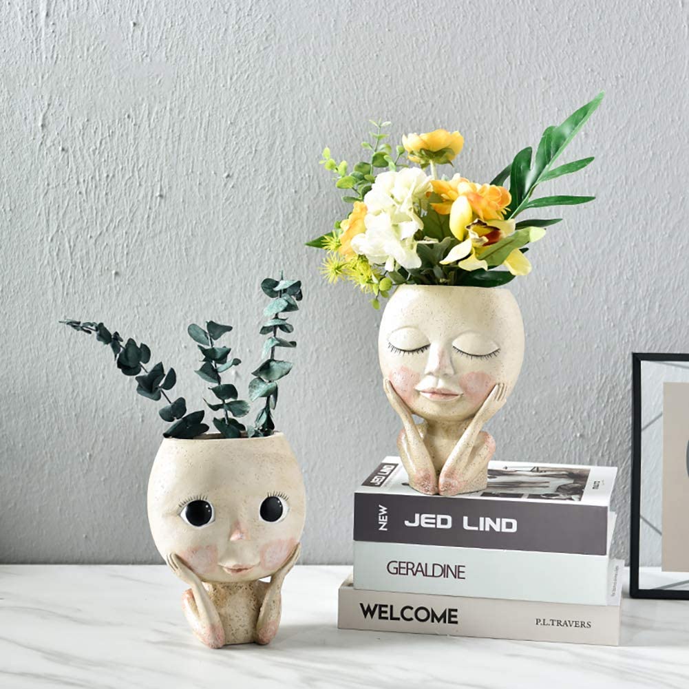 소녀 얼굴 머리 꽃 재배자, 즙이 많은 식물 꽃 용기, - Echeveria Succulent 리뷰 및 가격