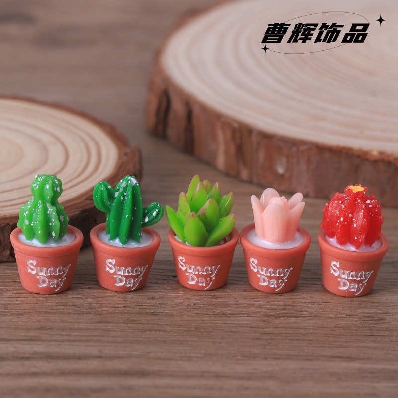 5개입 모조 다육식물 화분 정원 조경 미니어처 장식 액 - Echeveria Succulent 리뷰 및 가격