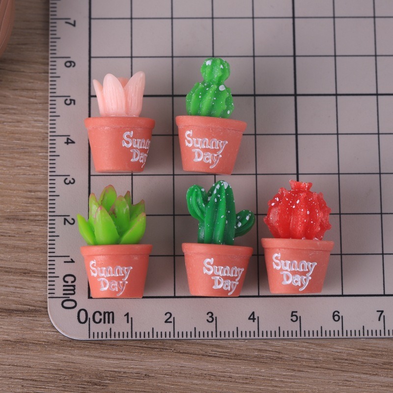 5개입 모조 다육식물 화분 정원 조경 미니어처 장식 액 - Echeveria Succulent 리뷰 및 가격