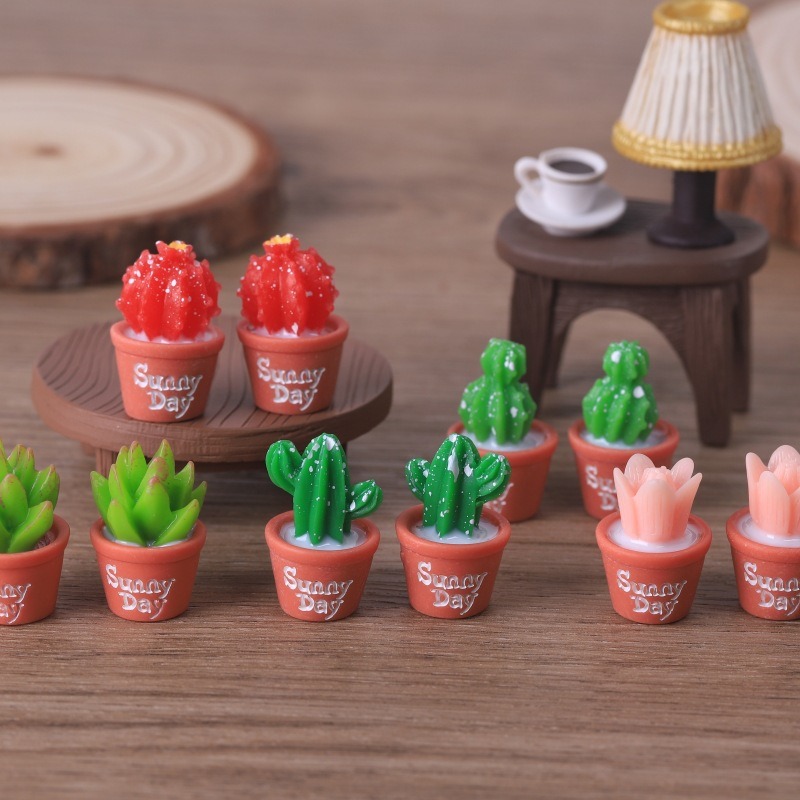 5개입 모조 다육식물 화분 정원 조경 미니어처 장식 액 - Echeveria Succulent 리뷰 및 가격