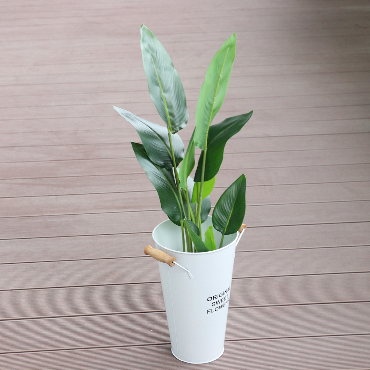 단조 철제 꽃병 데스크탑 다육 식물 화분 허브, 선인장 - Aloe Vera Pot 리뷰 및 가격